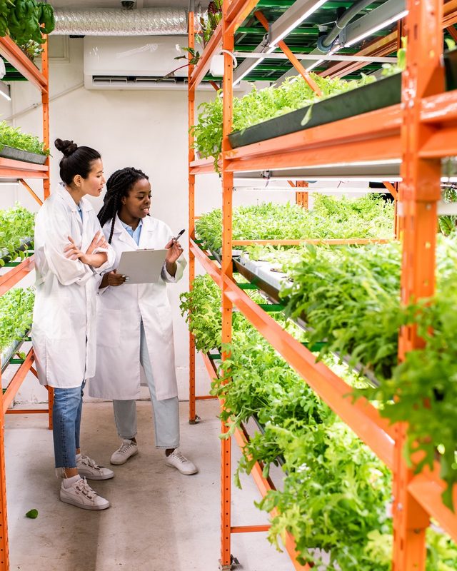 Researchers reviewing soil and plant samples on growth racks